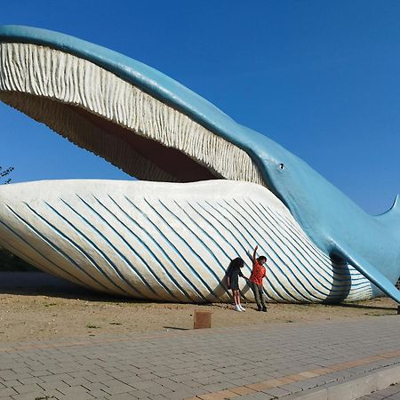 Szyper Pokoje Władysławowo Exterior foto