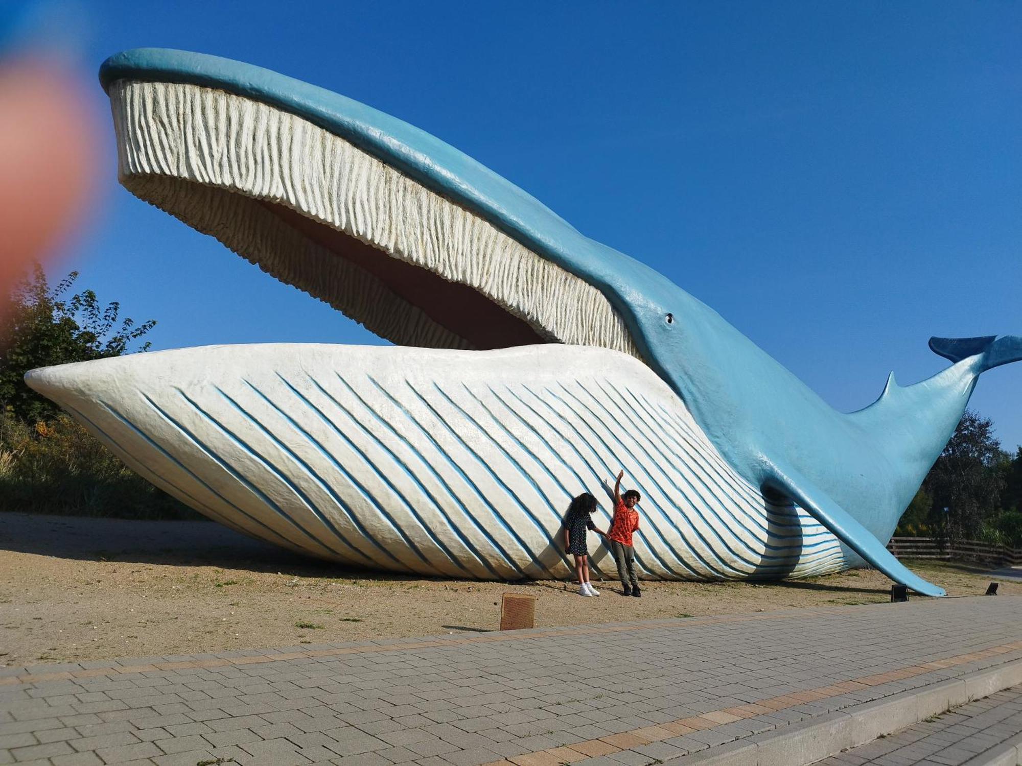 Szyper Pokoje Władysławowo Exterior foto